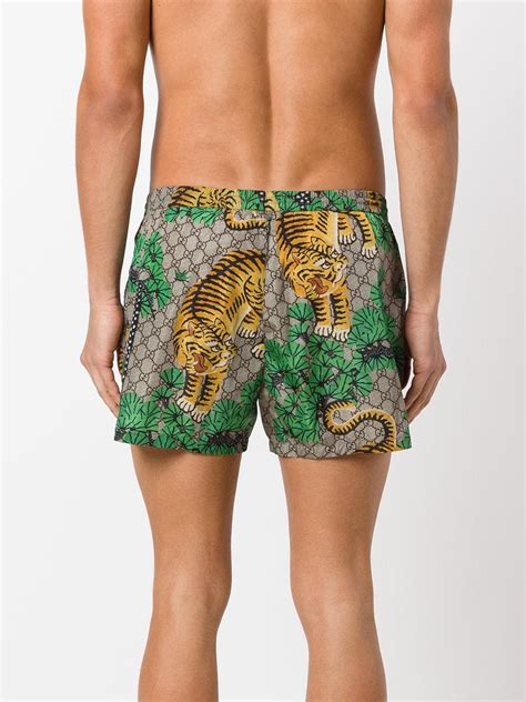 gucci bengal swim shorts replica|gucci swim trunks sale.